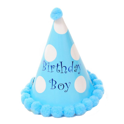 Birthday Boy 粉藍色派對帽
